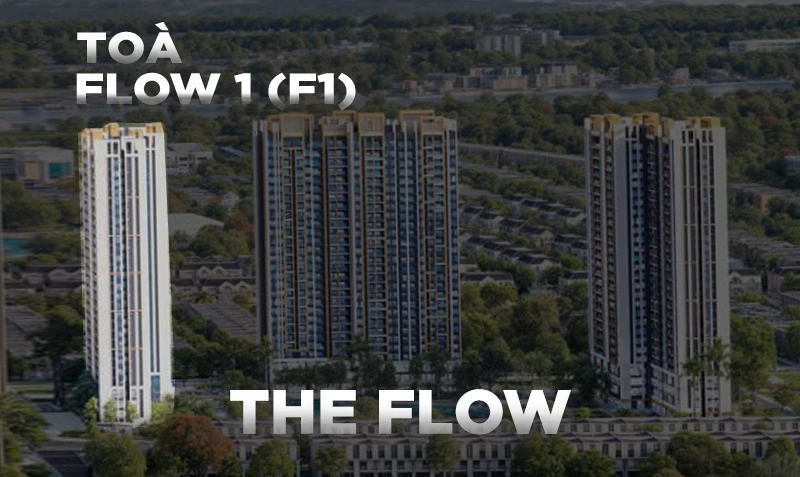 THE FLOW 1