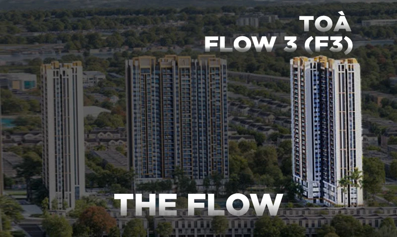 THE FLOW 3