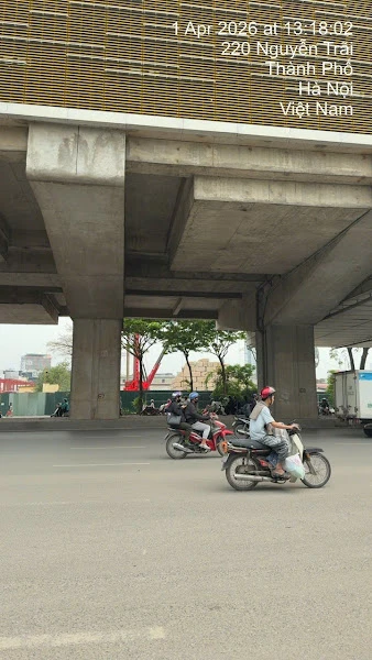 Hình 19